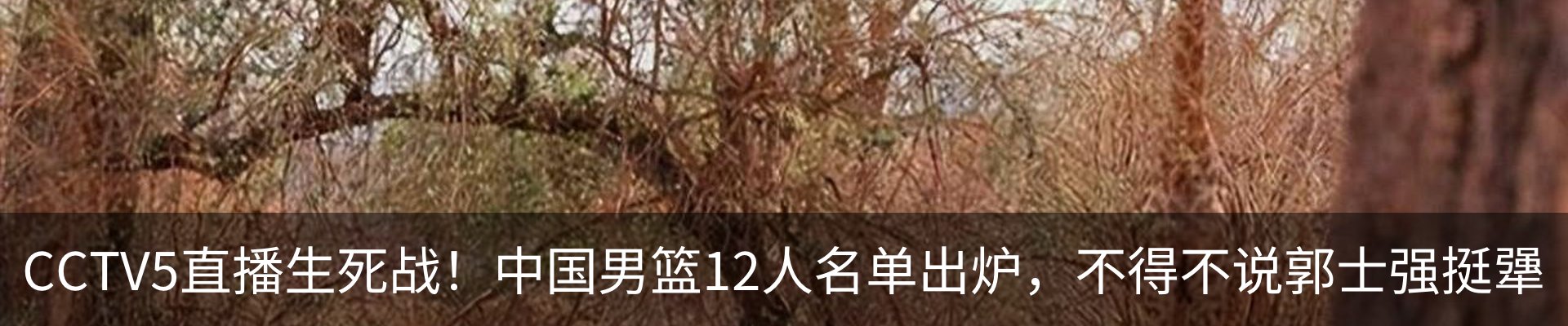 内页banner